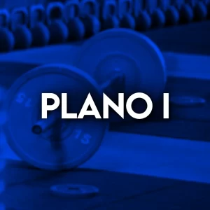 Plano I